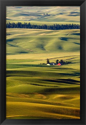 Framed Palouse #27 Print