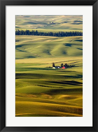 Framed Palouse #27 Print