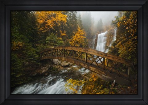 Framed Bridge in the Forest Print