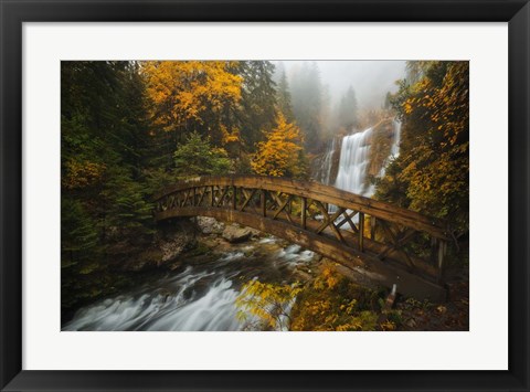 Framed Bridge in the Forest Print