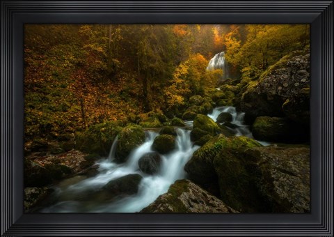Framed Resplendent Stream Print