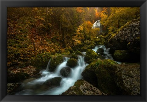 Framed Resplendent Stream Print