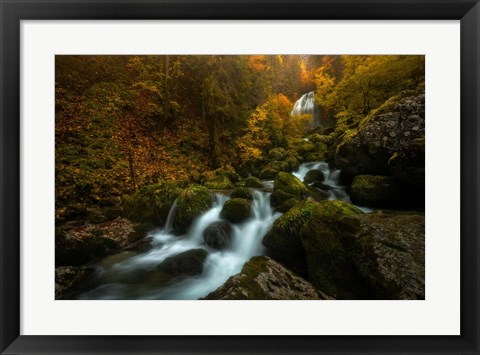 Framed Resplendent Stream Print