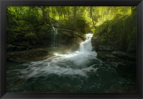 Framed Stream of Life Print