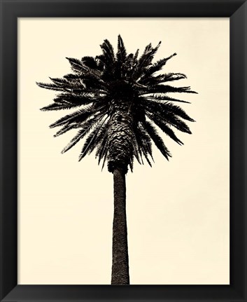 Framed Palm Tree 1979 Tan Print