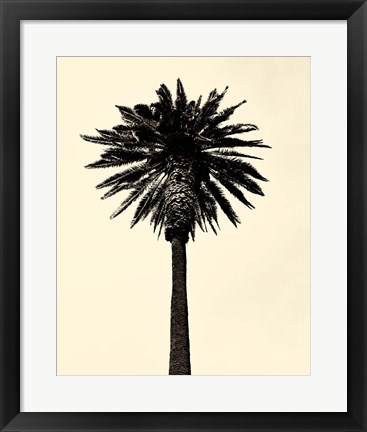 Framed Palm Tree 1979 Tan Print