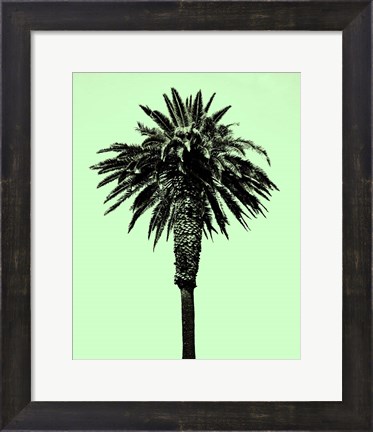 Framed Palm Tree 1996 (Green) Print