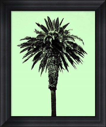 Framed Palm Tree 1996 (Green) Print