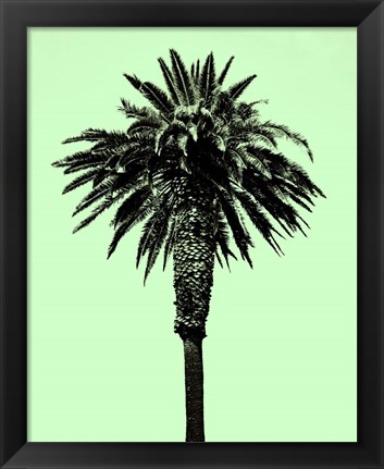 Framed Palm Tree 1996 (Green) Print