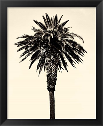 Framed Palm Tree 1996 (Tan) Print