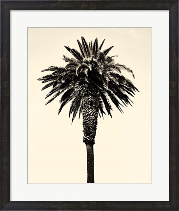 Framed Palm Tree 1996 (Tan) Print
