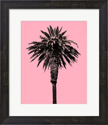 Framed Palm Tree 1996 (Pink) Print