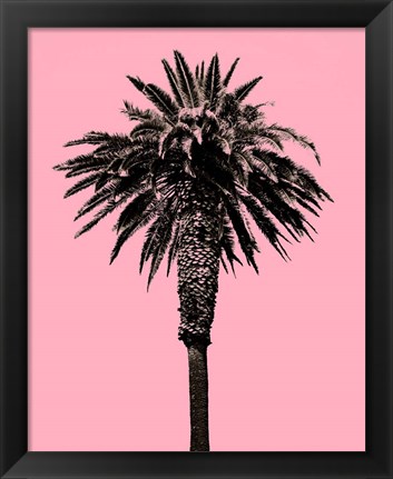 Framed Palm Tree 1996 (Pink) Print