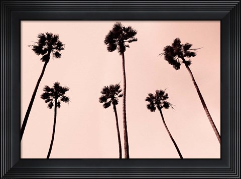 Framed Palm Trees 1997 Copper Print
