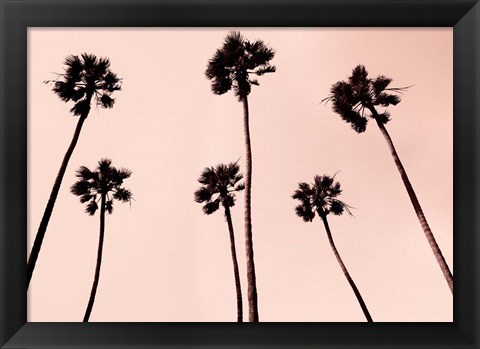 Framed Palm Trees 1997 Copper Print