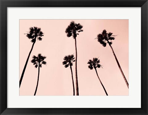 Framed Palm Trees 1997 Copper Print