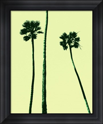 Framed Palm Trees 2000 (Cyan) Print