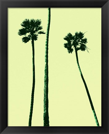 Framed Palm Trees 2000 (Cyan) Print