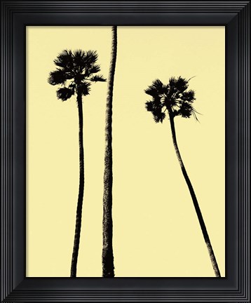Framed Palm Trees 2000 (Yellow) Print