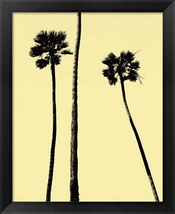 Framed Palm Trees 2000 (Yellow) Print