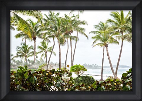 Framed After the Dorado Rain Print