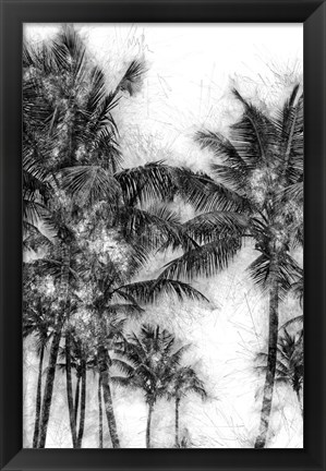 Framed Dorado Palms 1 Print