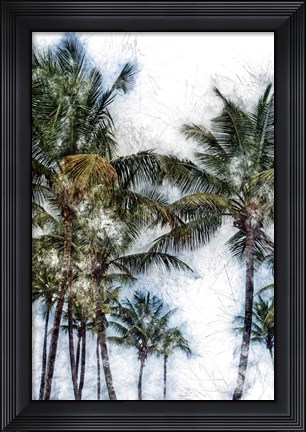 Framed Dorado Palms 2 Print