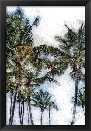 Framed Dorado Palms 2 Print