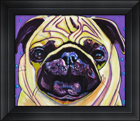 Framed Purple Pug Print