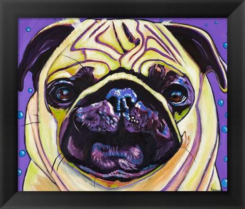 Framed Purple Pug Print