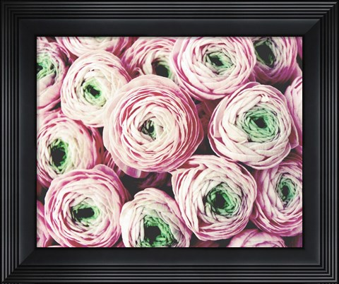 Framed Bundle of Sweetness Print