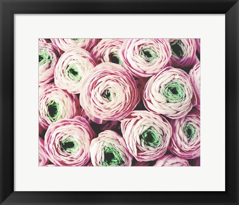 Framed Bundle of Sweetness Print