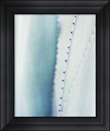 Framed Pale Blue Agave No. 2 Print
