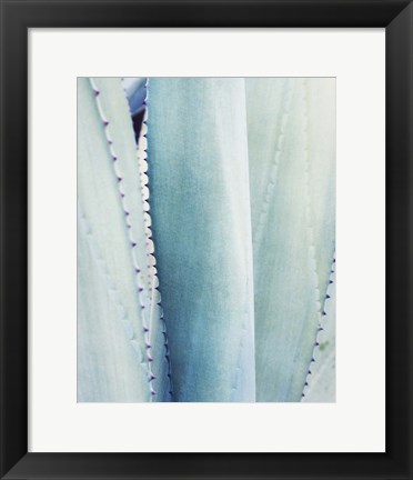 Framed Pale Blue Agave No. 3 Print