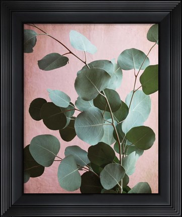 Framed Sage Eucalyptus No. 1 Print