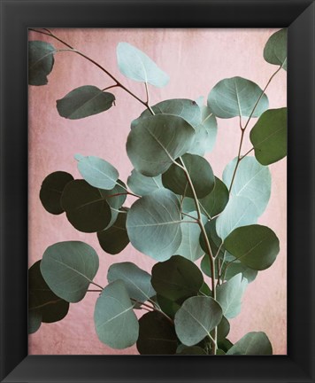 Framed Sage Eucalyptus No. 1 Print