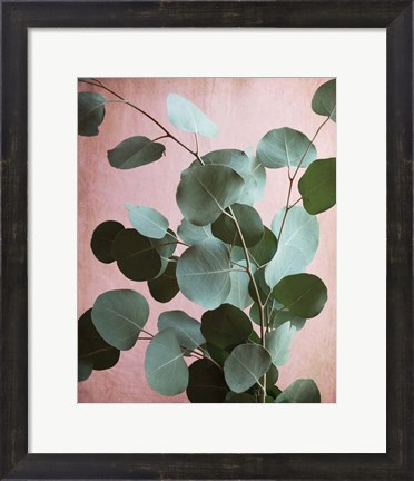 Framed Sage Eucalyptus No. 1 Print