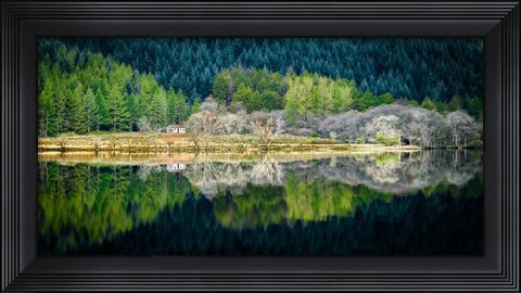 Framed Spring Greens Print