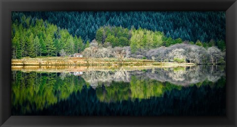 Framed Spring Greens Print
