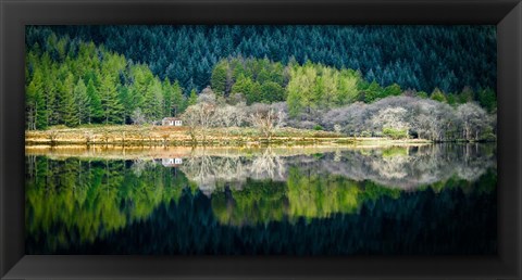 Framed Spring Greens Print