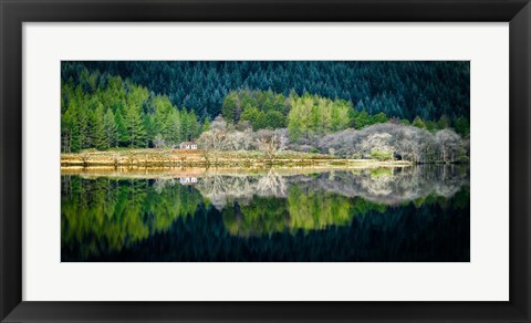 Framed Spring Greens Print