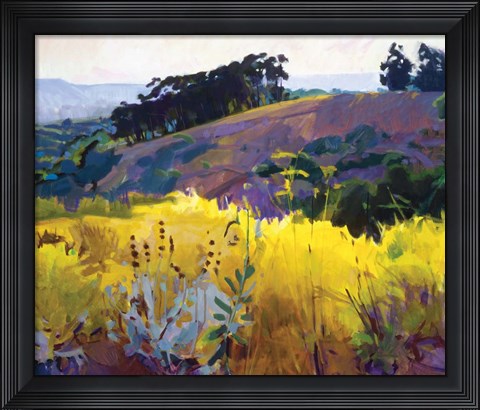 Framed Late Sun, Eucalyptus on the Ridge Print
