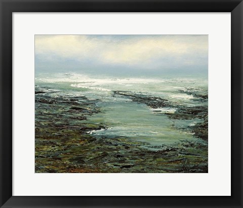 Framed Shallow Reef Print