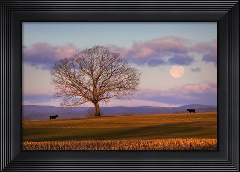 Framed Meeting at Dawn Print