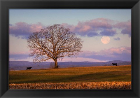 Framed Meeting at Dawn Print