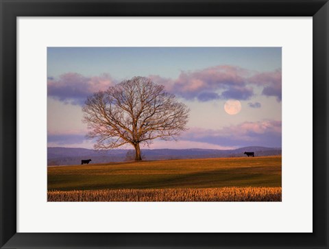 Framed Meeting at Dawn Print