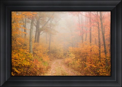 Framed Passing Through Print
