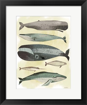 Framed Whales Print