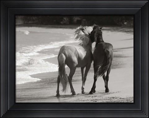 Framed Young Mustangs on Beach Print