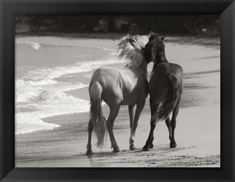 Framed Young Mustangs on Beach Print